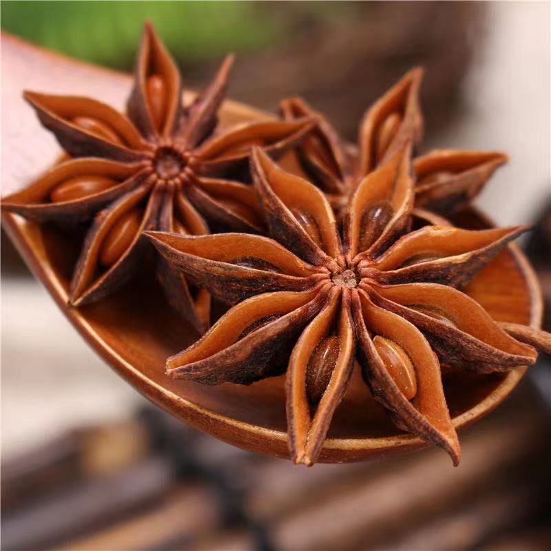Star Anise (2).jpg